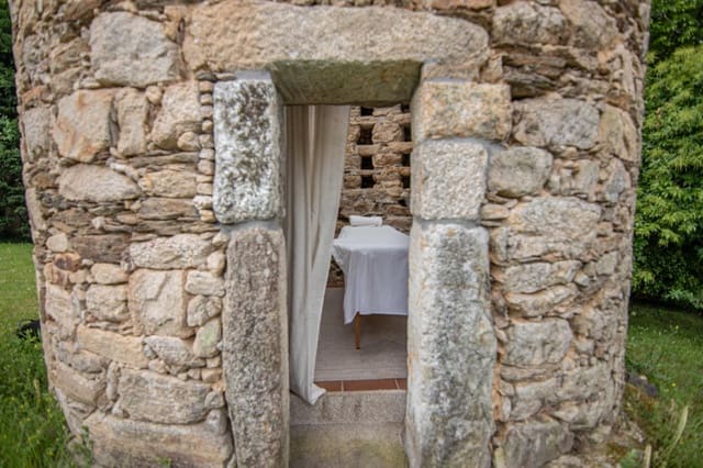 13 makuuhuone Huvila myytävänä paikassa Cuntis mukana uima-altaan 
autotalli - 1 600 000 € (Ref: 9185817)