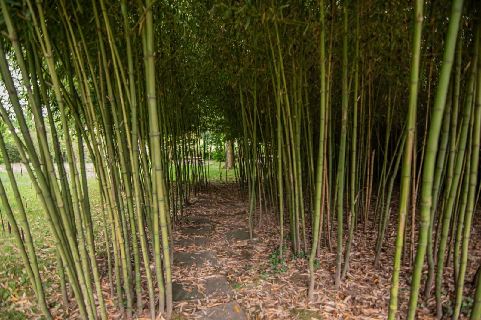 13 soveværelse Villa til salg i Cuntis med swimmingpool garage - € 1.600.000 (Ref: 9185817)