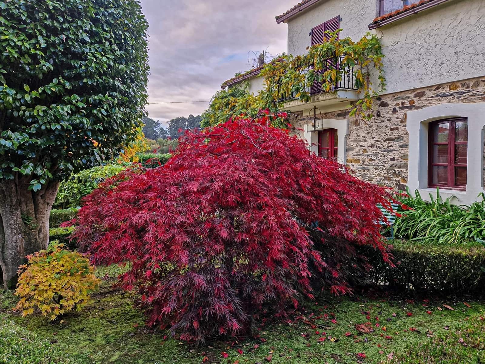 3 slaapkamer Finca/Landhuis te koop in Bergondo - € 474.000 (Ref: 9191249)