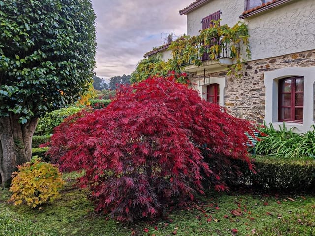 3 chambre Finca/Maison de Campagne à vendre à Bergondo - 474 000 € (Ref: 9191249)