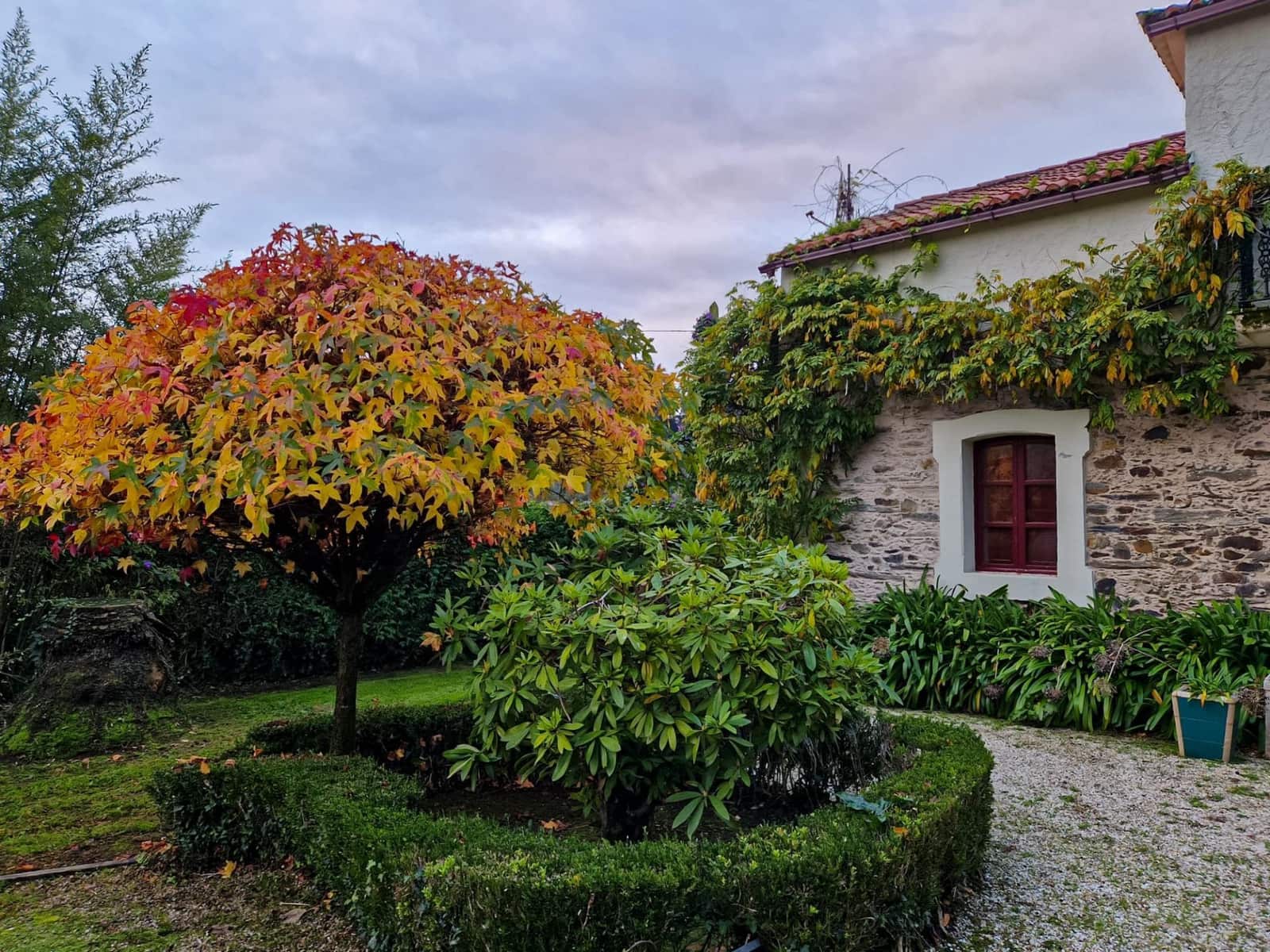 3 slaapkamer Finca/Landhuis te koop in Bergondo - € 474.000 (Ref: 9191249)