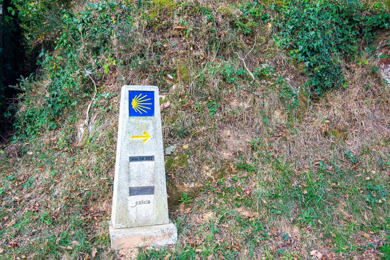 3 sypialnia Finka/Dom wiejski na sprzedaż w Vilasantar - 150 000 € (Ref: 9338455)