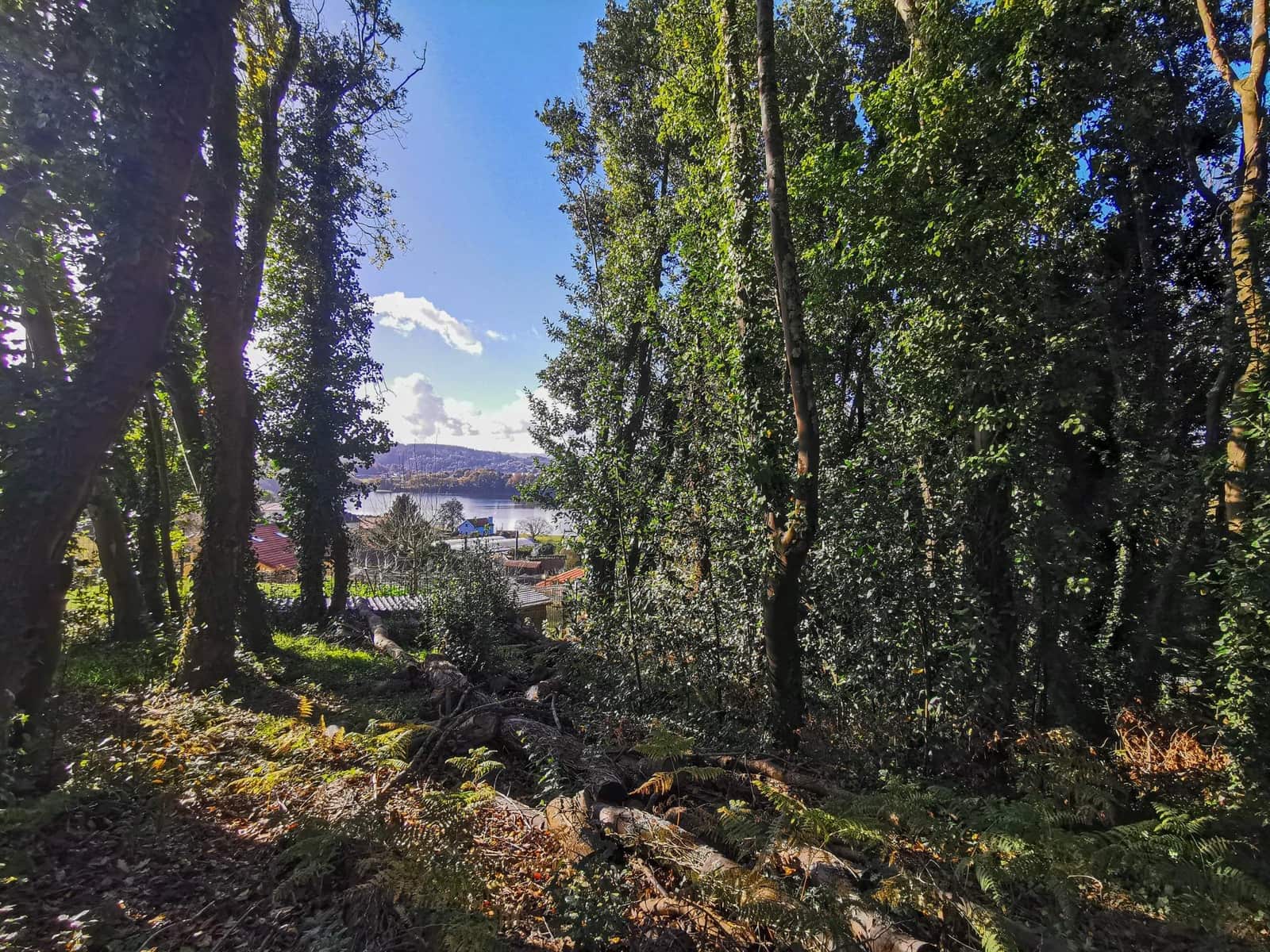 Terreno para Construção para venda em Abegondo - 40 000 € (Ref: 9462493)