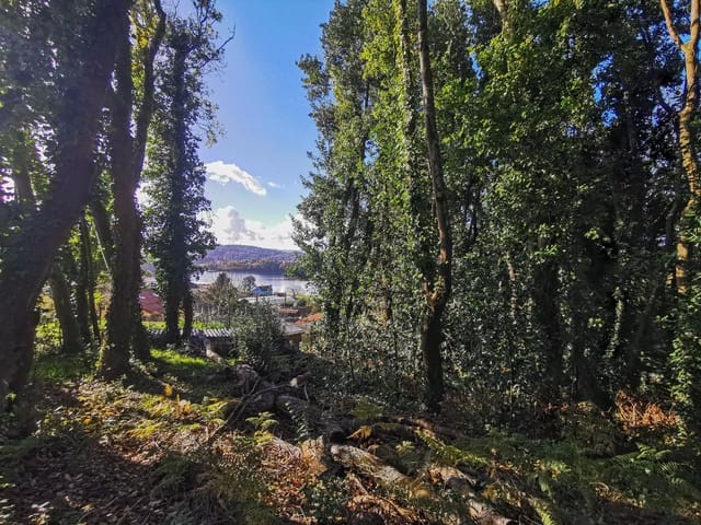 Terreno para Construção para venda em Abegondo - 40 000 € (Ref: 9462493)