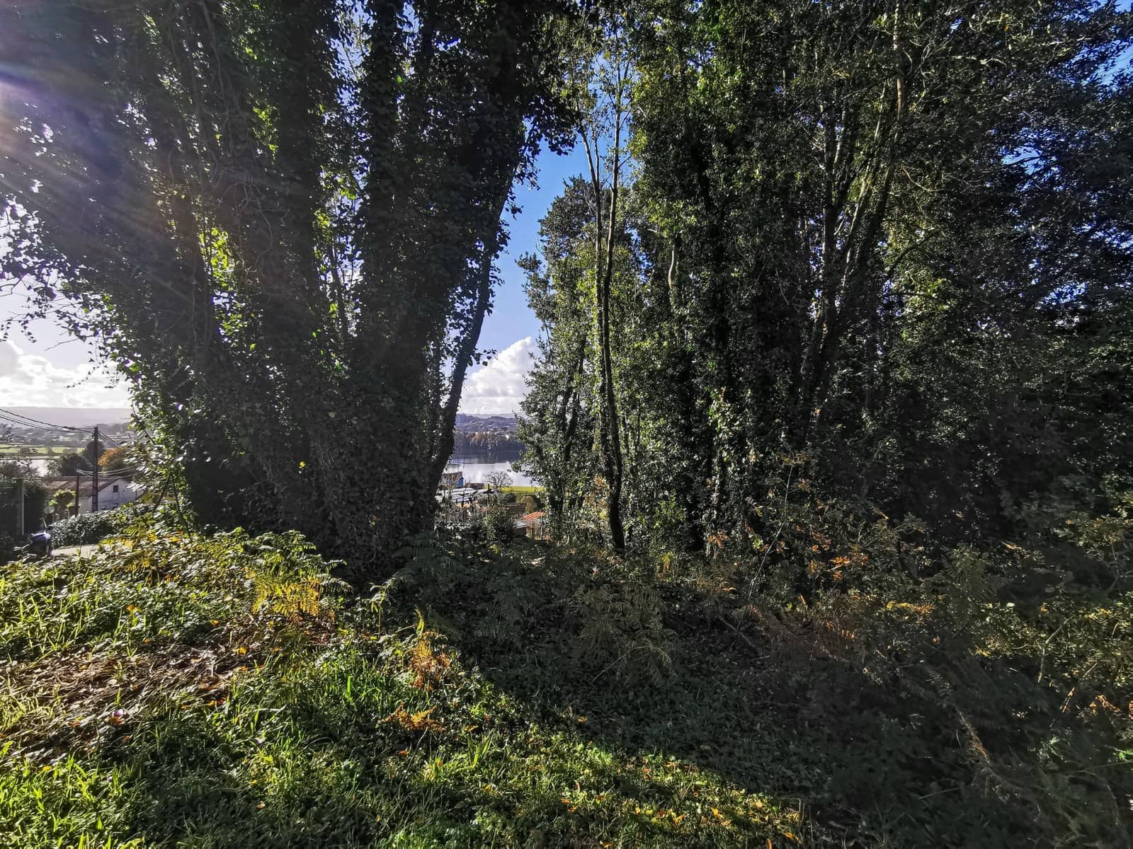 Terreno para Construção para venda em Abegondo - 40 000 € (Ref: 9462493)