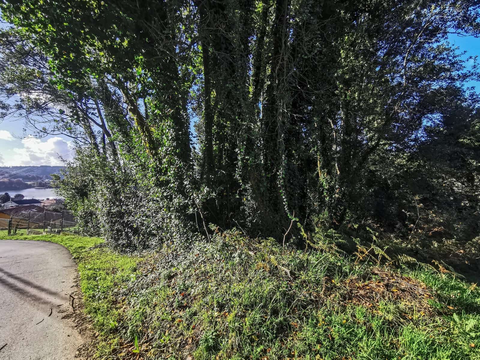 Terreno para Construção para venda em Abegondo - 40 000 € (Ref: 9462493)