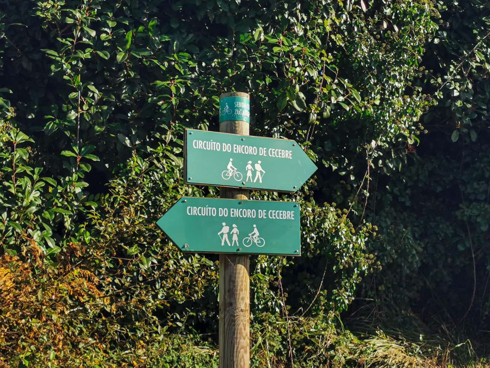 4 quarto Quinta/Casa Rural para venda em Abegondo - 450 000 € (Ref: 9462494)