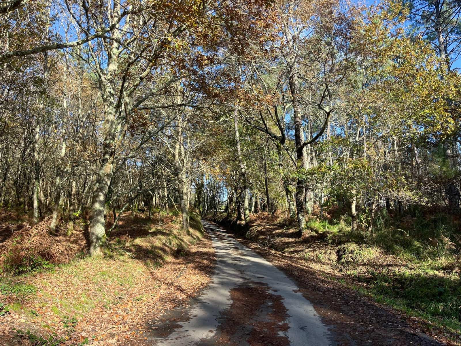 4 quarto Quinta/Casa Rural para venda em Abegondo - 450 000 € (Ref: 9462494)