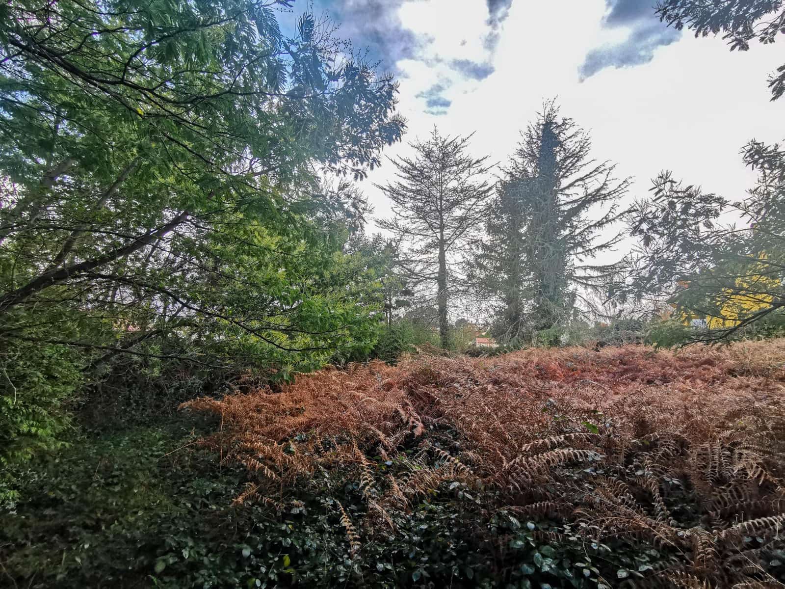 Byggetomt til salgs i Oleiros - € 200 000 (Ref: 9541579)