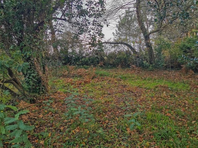 Byggetomt til salgs i Oleiros - € 200 000 (Ref: 9541579)