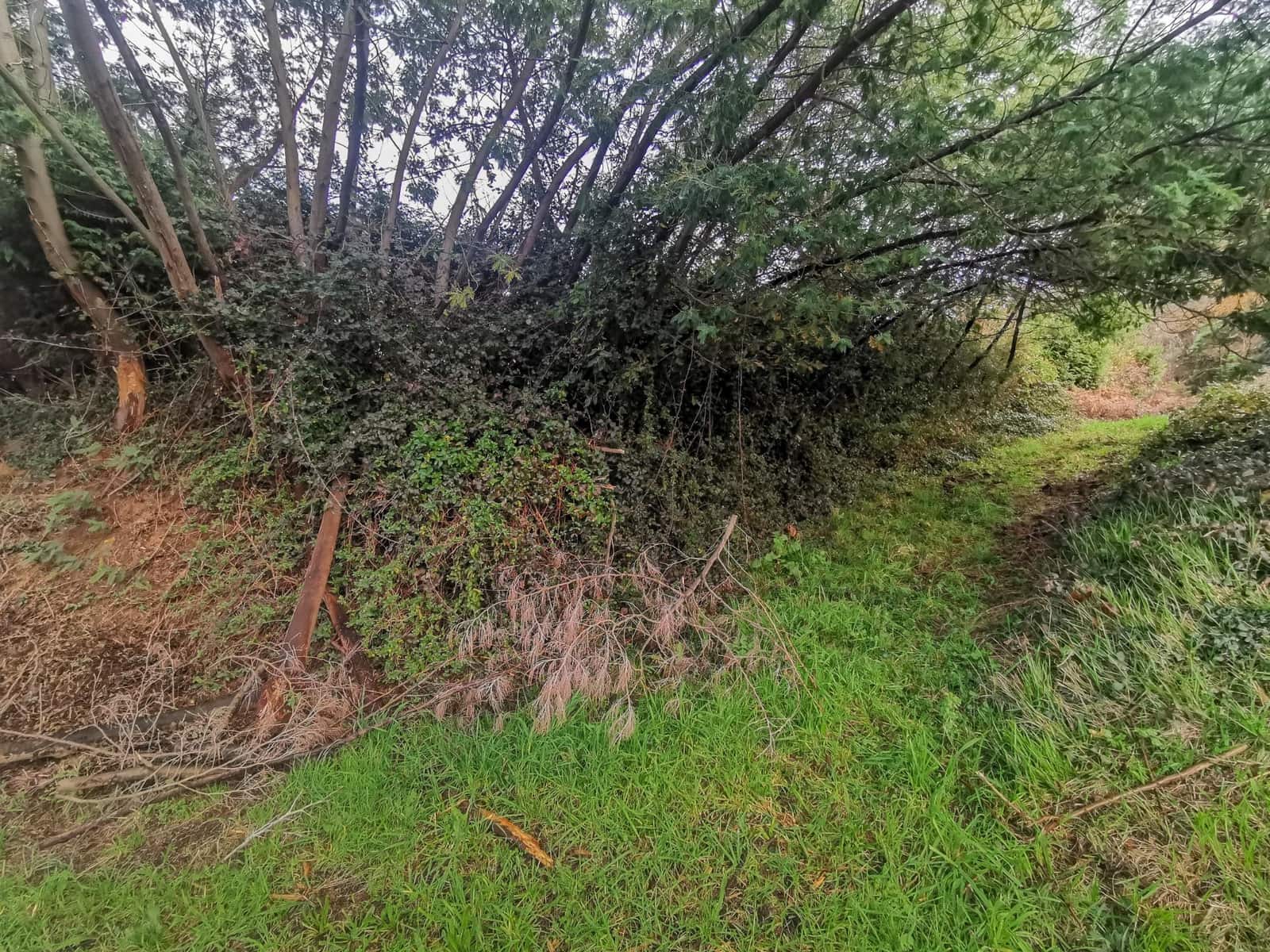 Building Plot for sale in Oleiros - € 200,000 (Ref: 9541579)