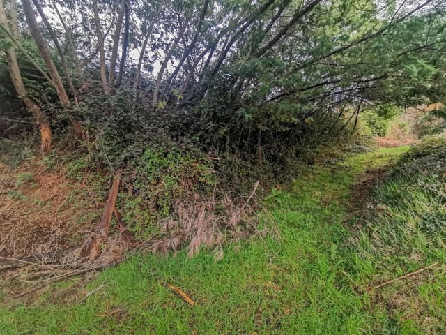 Tontti myytävänä paikassa Oleiros - 200 000 € (Ref: 9541579)