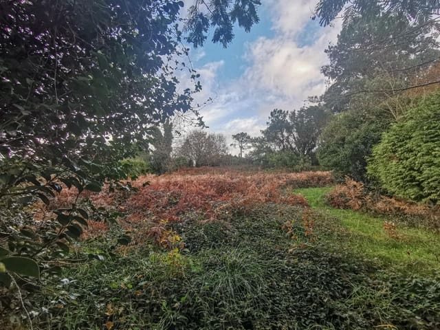 Tontti myytävänä paikassa Oleiros - 200 000 € (Ref: 9541579)