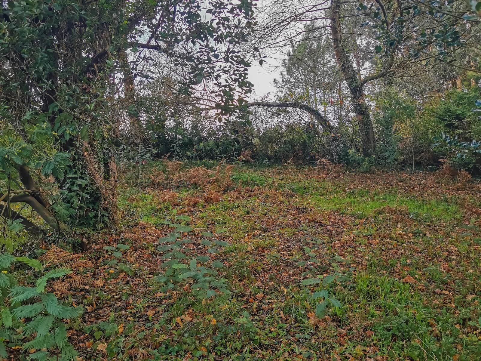 Building Plot for sale in Oleiros - € 200,000 (Ref: 9541579)