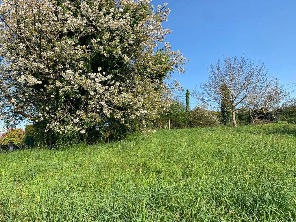 Ruin til salg i Cambre - € 194.000 (Ref: 9695487)