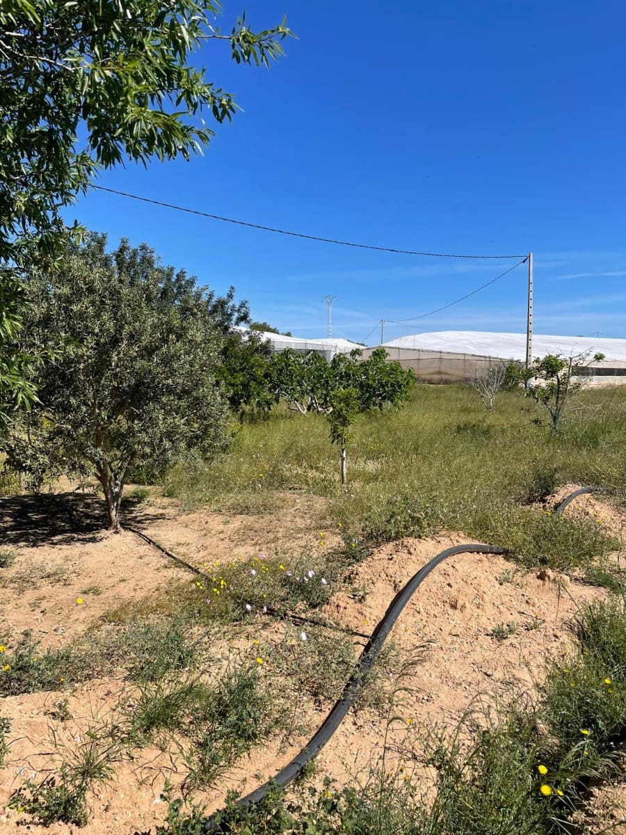 3 soveværelse Finca/Landehus til salg i El Mirador - € 185.000 (Ref: 8949869)