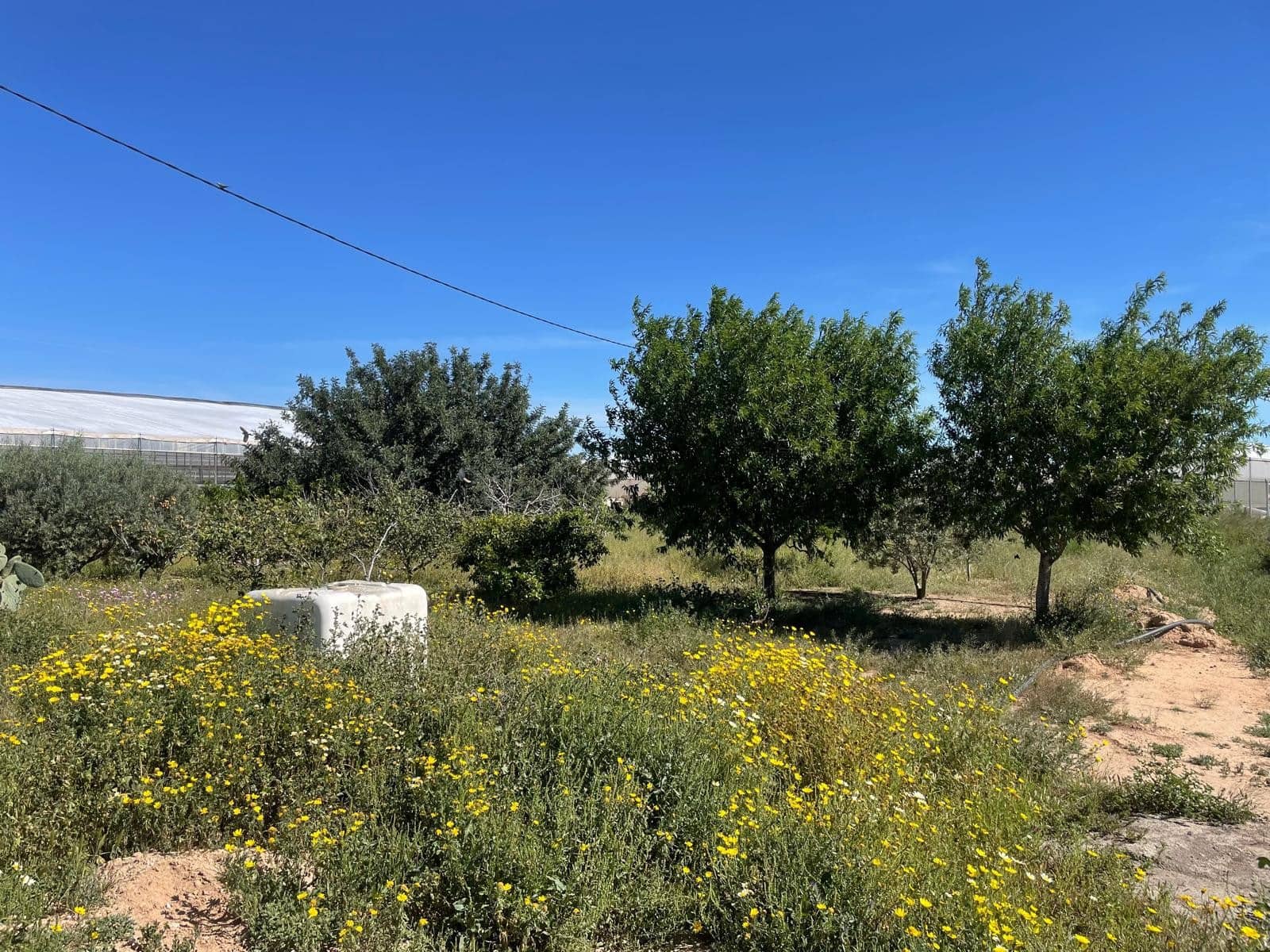 3 soveværelse Finca/Landehus til salg i El Mirador - € 185.000 (Ref: 8949869)