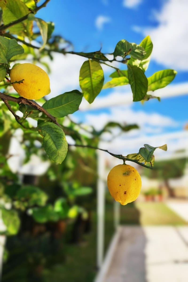 6 slaapkamer Villa te koop in Canet d'En Berenguer met zwembad garage - € 715.000 (Ref: 9126968)