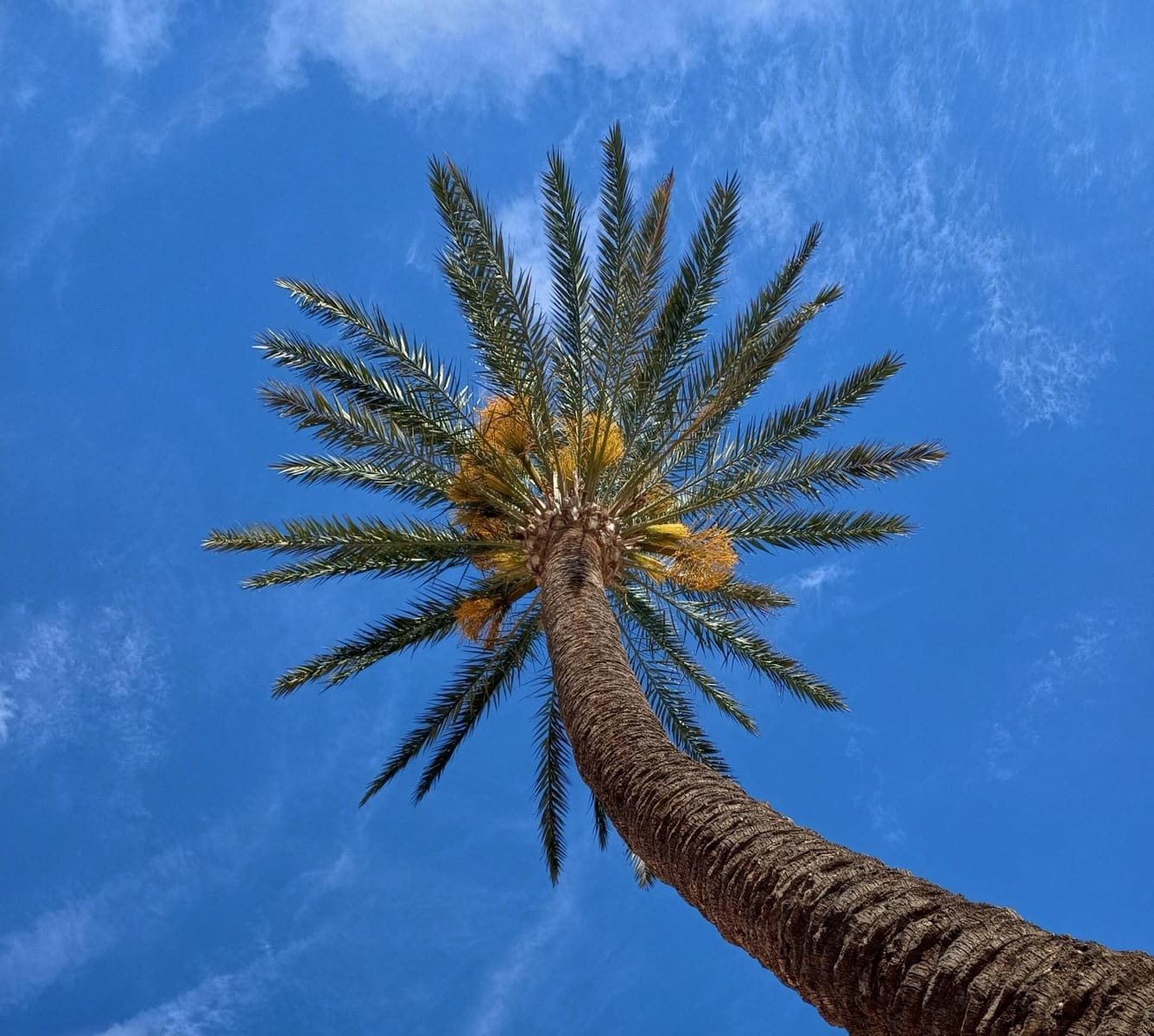 5 soverom Finca/Herregård til salgs i Saboya med svømmebasseng - € 950 000 (Ref: 9126983)