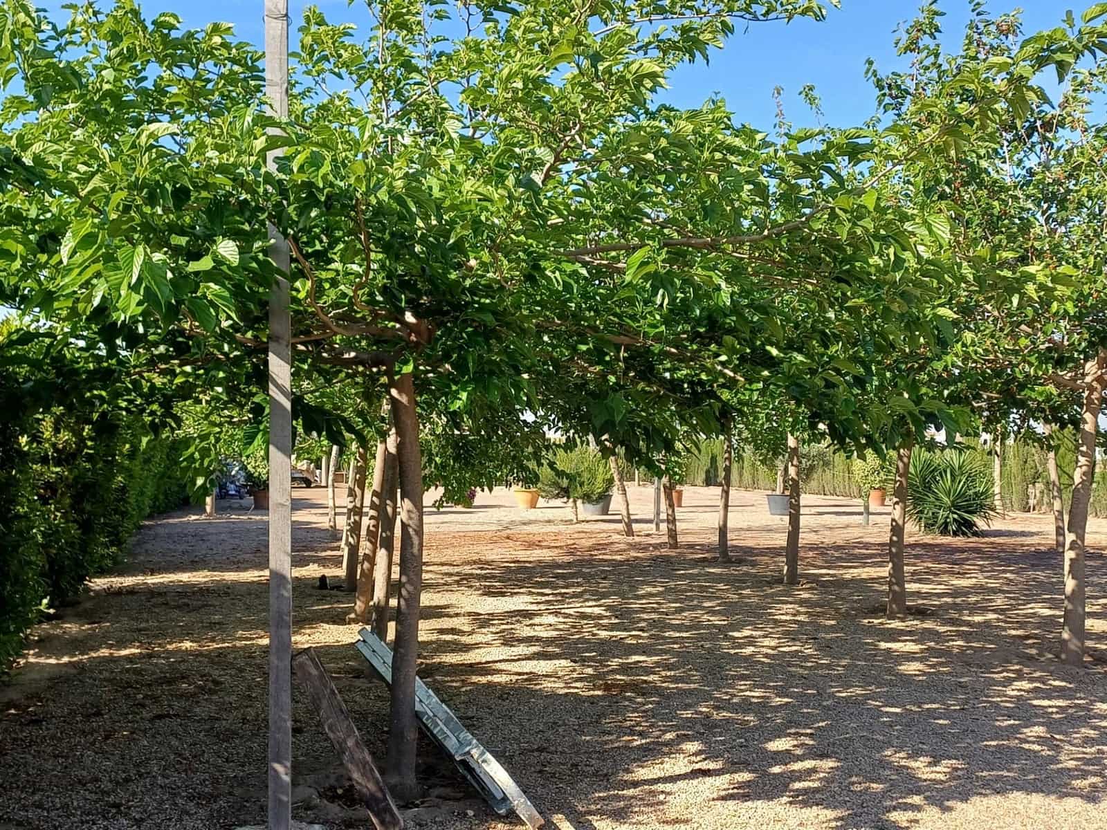 5 soverom Finca/Herregård til salgs i Saboya med svømmebasseng - € 950 000 (Ref: 9126983)