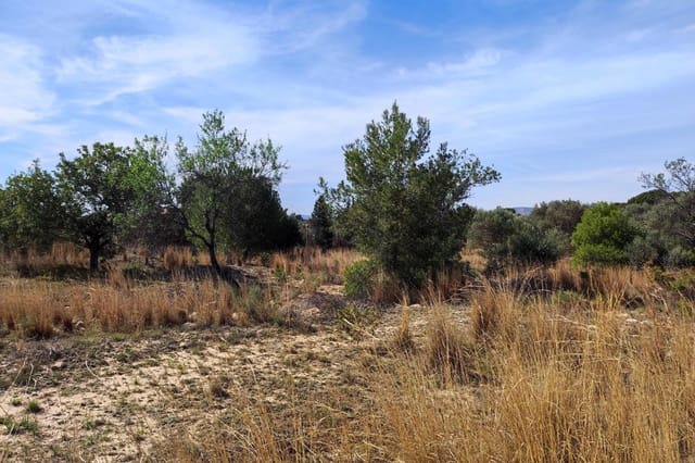 Undeveloped Land for sale in Manises - € 75,000 (Ref: 9126984)
