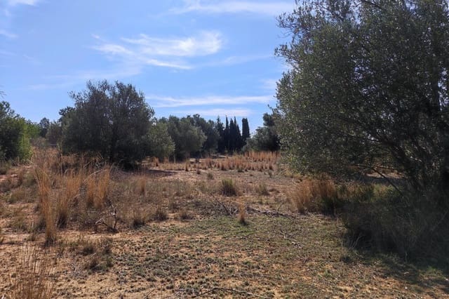 Undeveloped Land for sale in Manises - € 75,000 (Ref: 9126984)