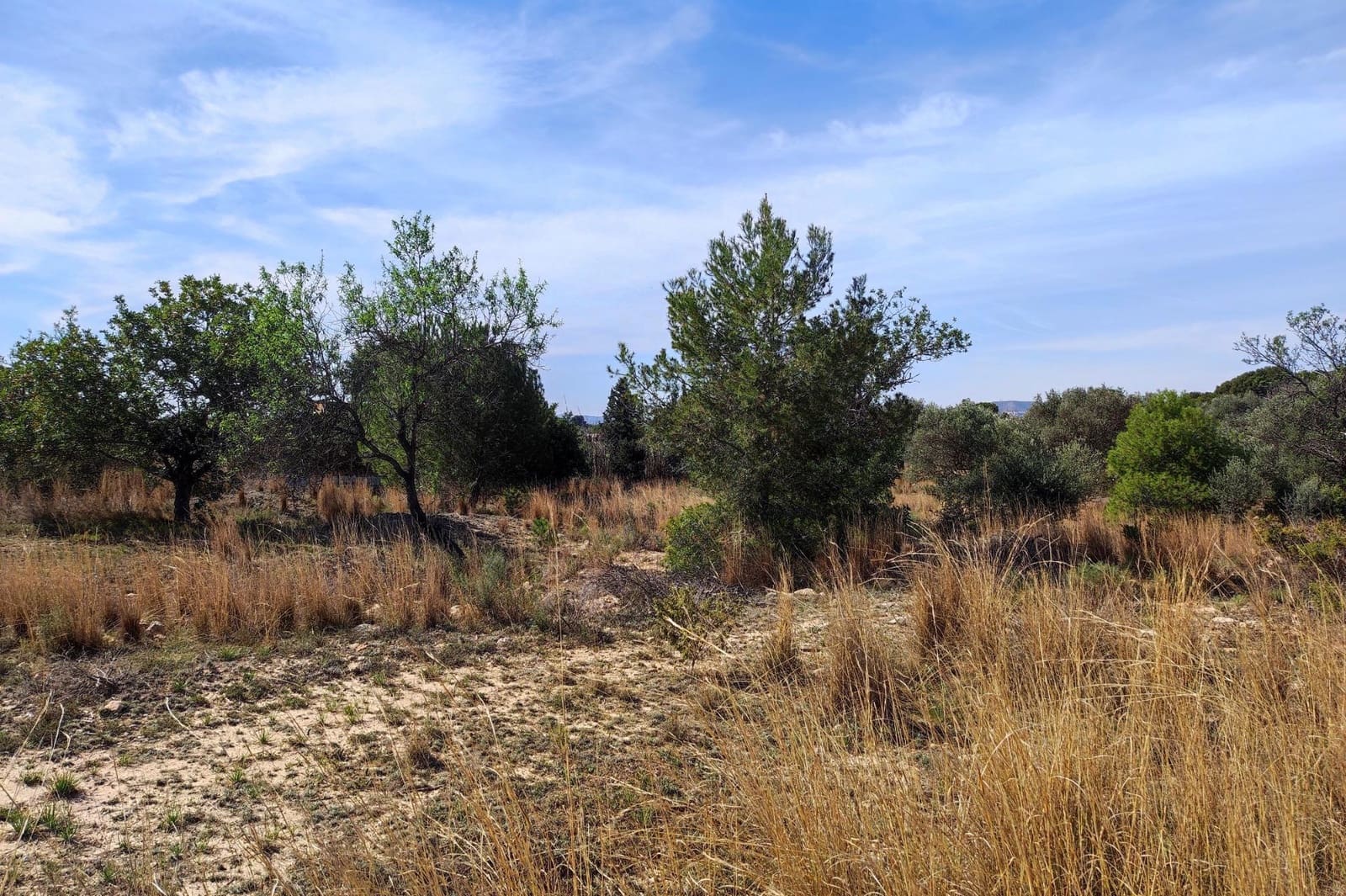 Undeveloped Land for sale in Manises - € 35,000 (Ref: 9126984)