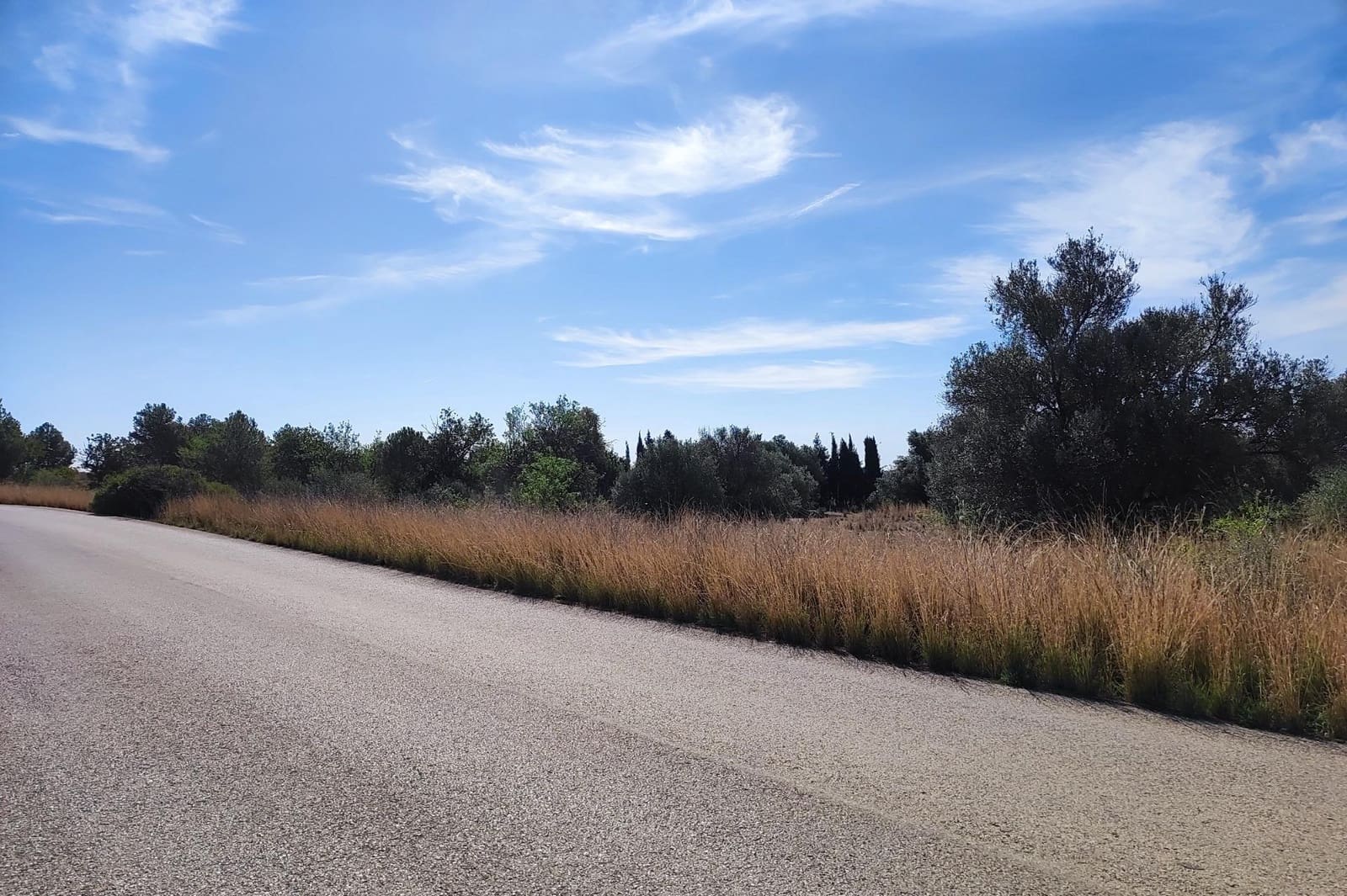 Undeveloped Land for sale in Manises - € 35,000 (Ref: 9126984)