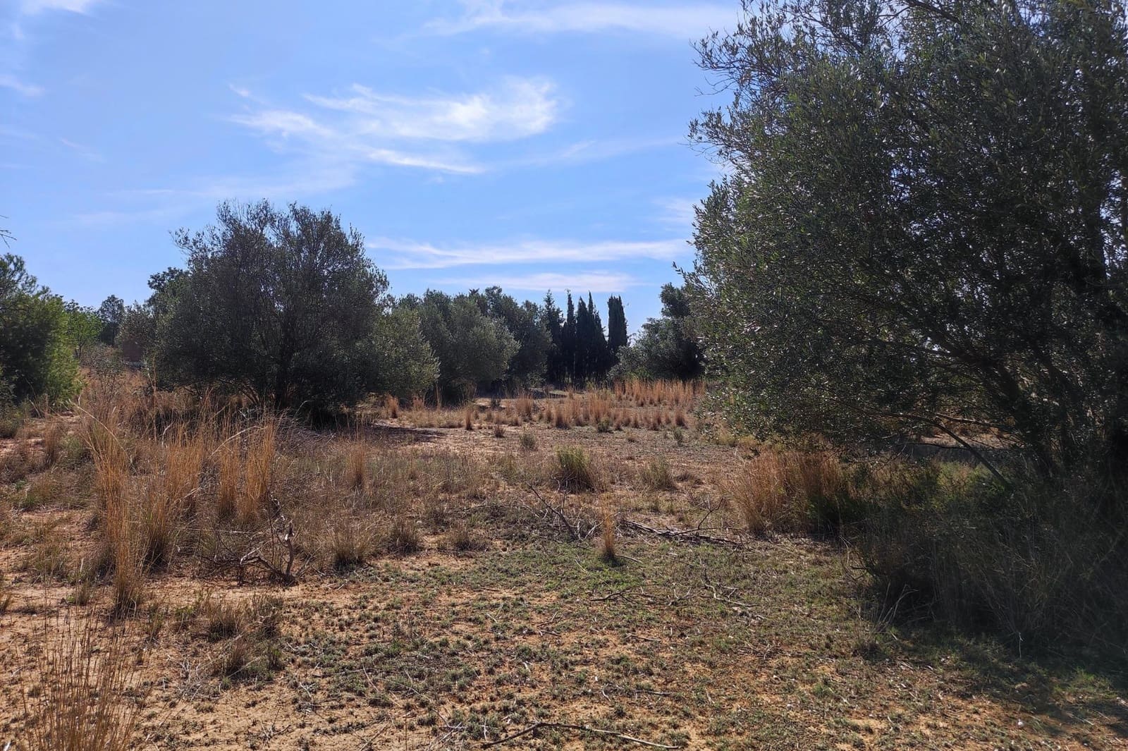 Undeveloped Land for sale in Manises - € 35,000 (Ref: 9126984)