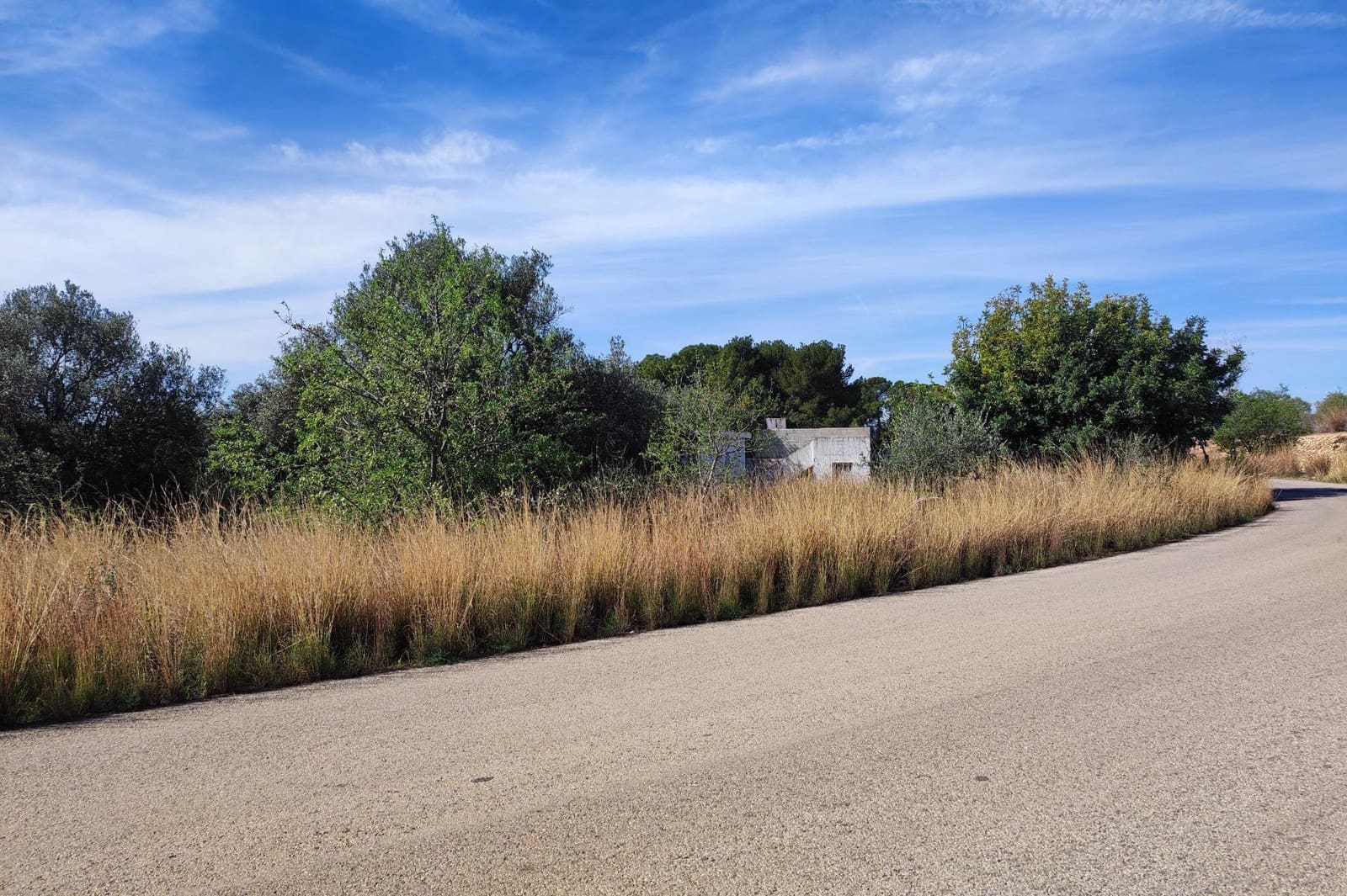 Undeveloped Land for sale in Manises - € 35,000 (Ref: 9126984)