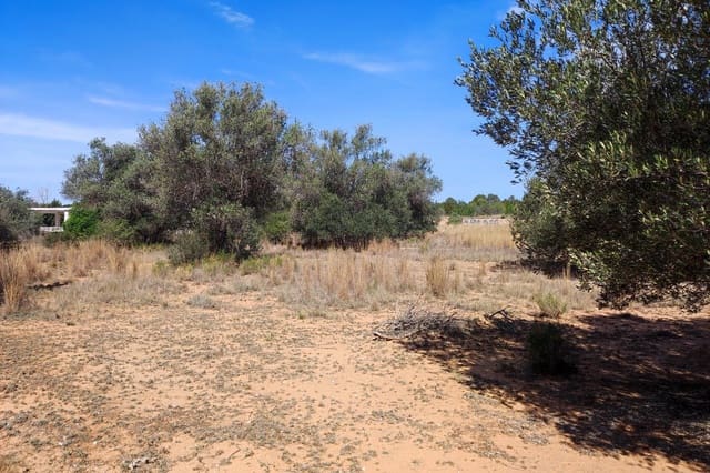 Terreno Non Edificato in vendita in Manises - 35.000 € (Rif: 9126984)