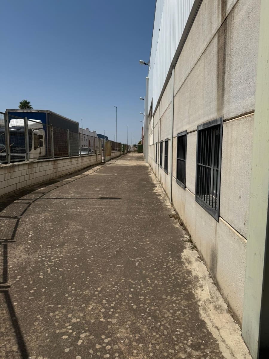 Biznes do wynajęcia w La Carolina - 3 000 € (Ref: 9204699)