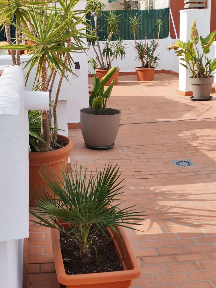 2 slaapkamer Penthouse te huur in Valencia stad - € 1.600 (Ref: 9417688)