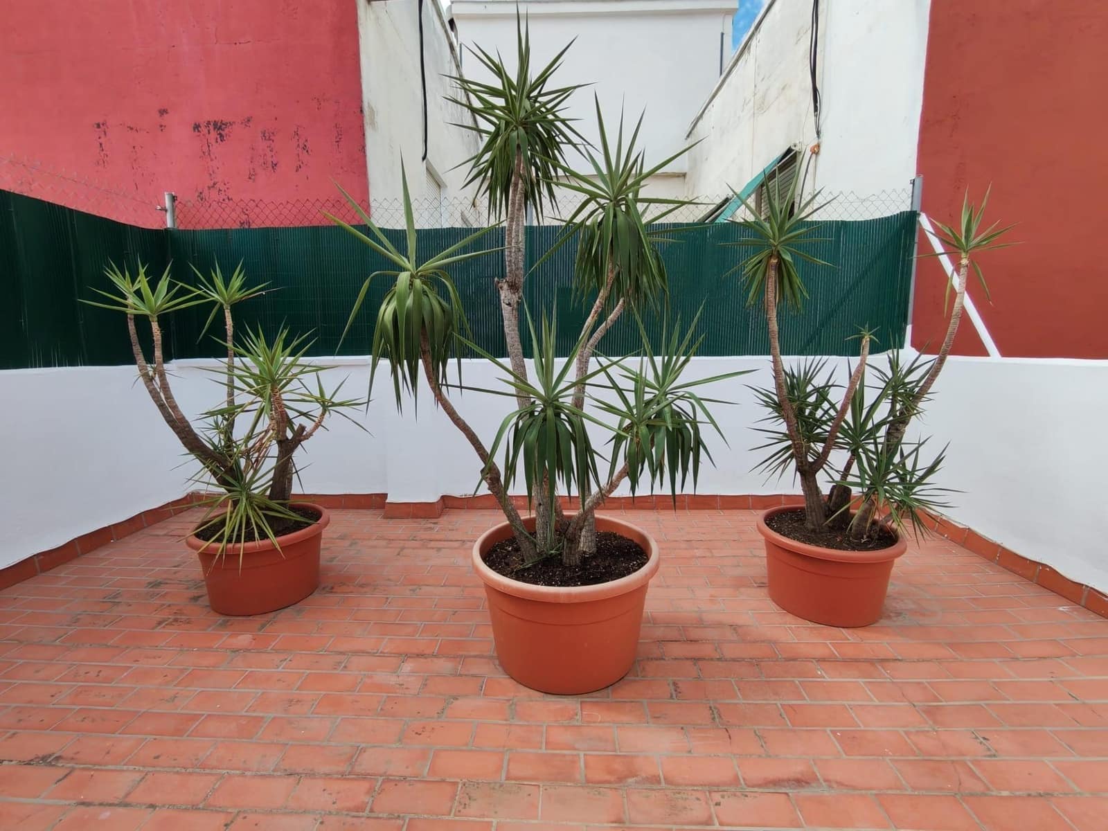 2 slaapkamer Penthouse te huur in Valencia stad - € 1.600 (Ref: 9417688)