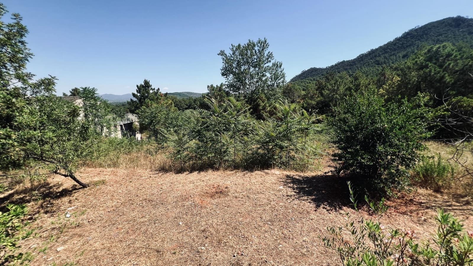 3 chambre Finca/Maison de Campagne à vendre à La Pobla Tornesa - 340 000 € (Ref: 9954311)
