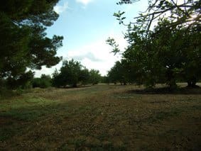 Finca/Herregård til salgs i Sant Jordi - € 95 000 (Ref: 3095136)