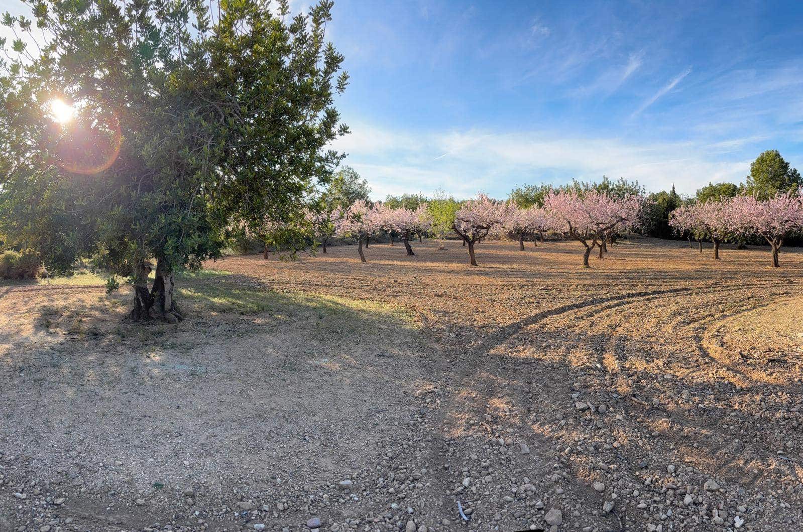 Finca/Herregård til salgs i Sant Jordi - € 95 000 (Ref: 3095136)