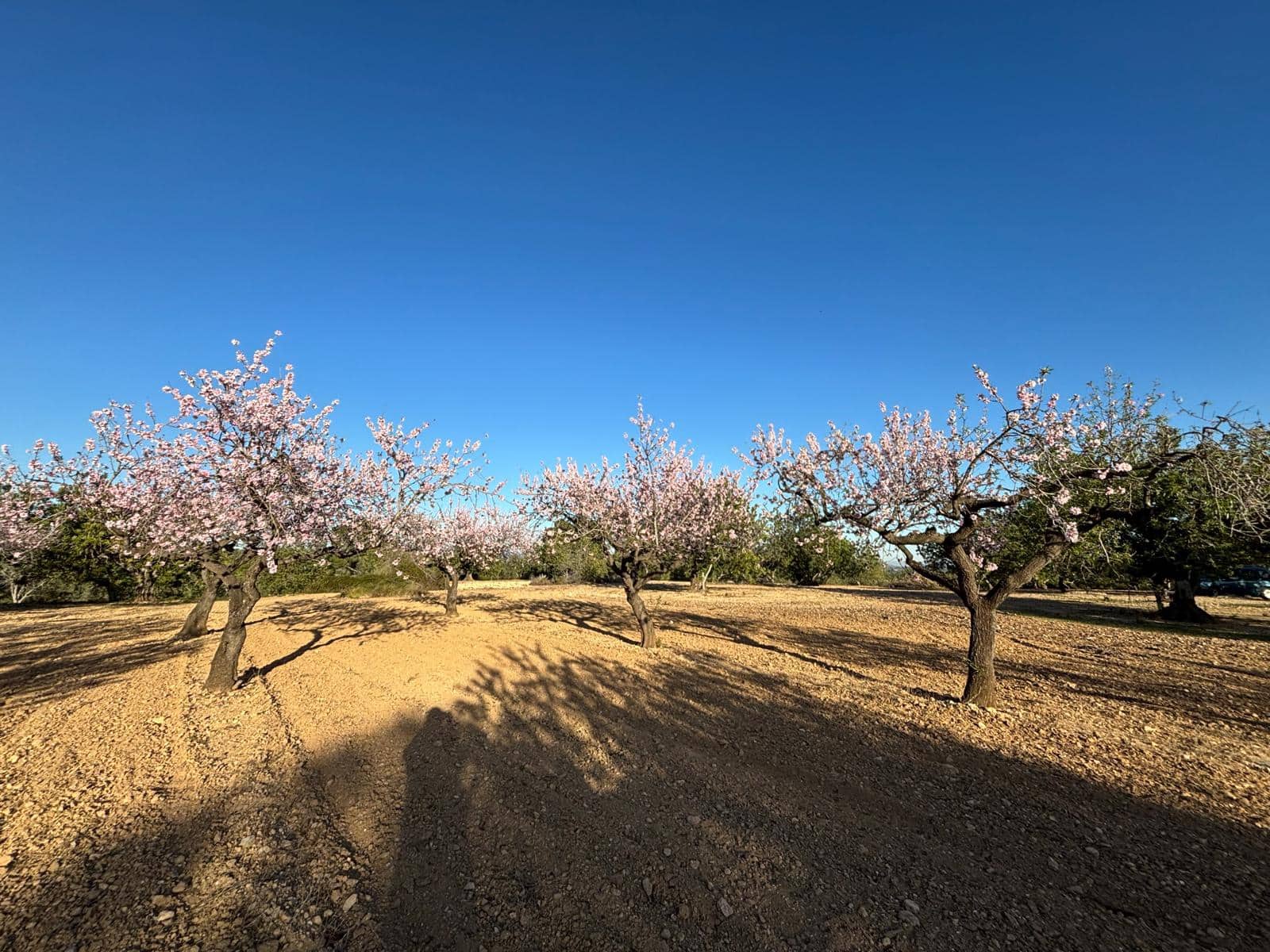 Finca/Herregård til salgs i Sant Jordi - € 95 000 (Ref: 3095136)