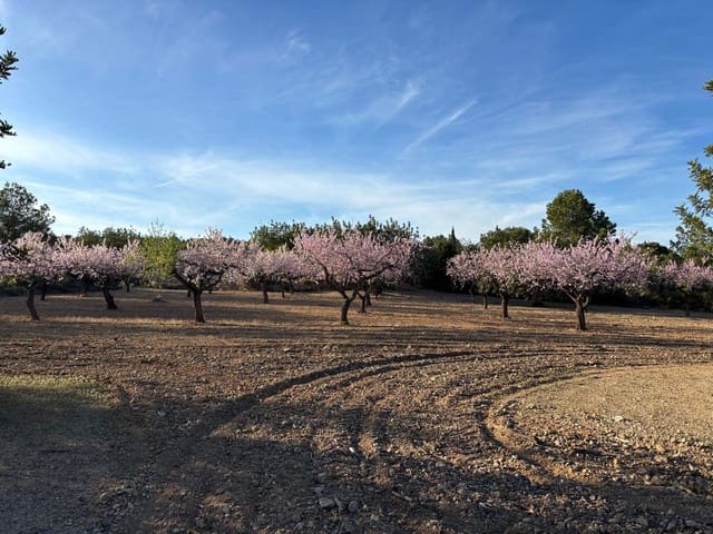 Finca/Herregård til salgs i Sant Jordi - € 95 000 (Ref: 3095136)