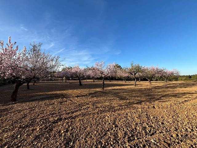 Finca/Herregård til salgs i Sant Jordi - € 95 000 (Ref: 3095136)