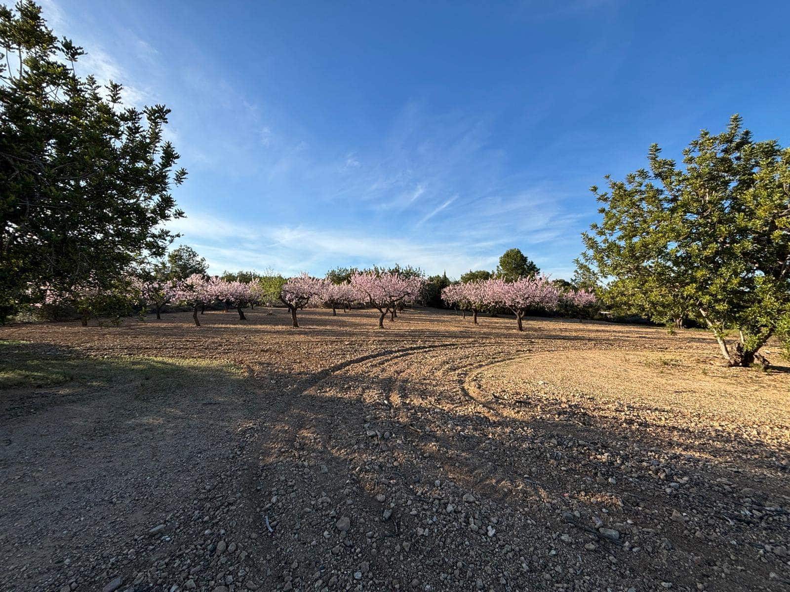 Finca/Herregård til salgs i Sant Jordi - € 95 000 (Ref: 3095136)