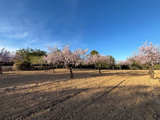 Finca/Herregård til salgs i Sant Jordi - € 95 000 (Ref: 3095136)
