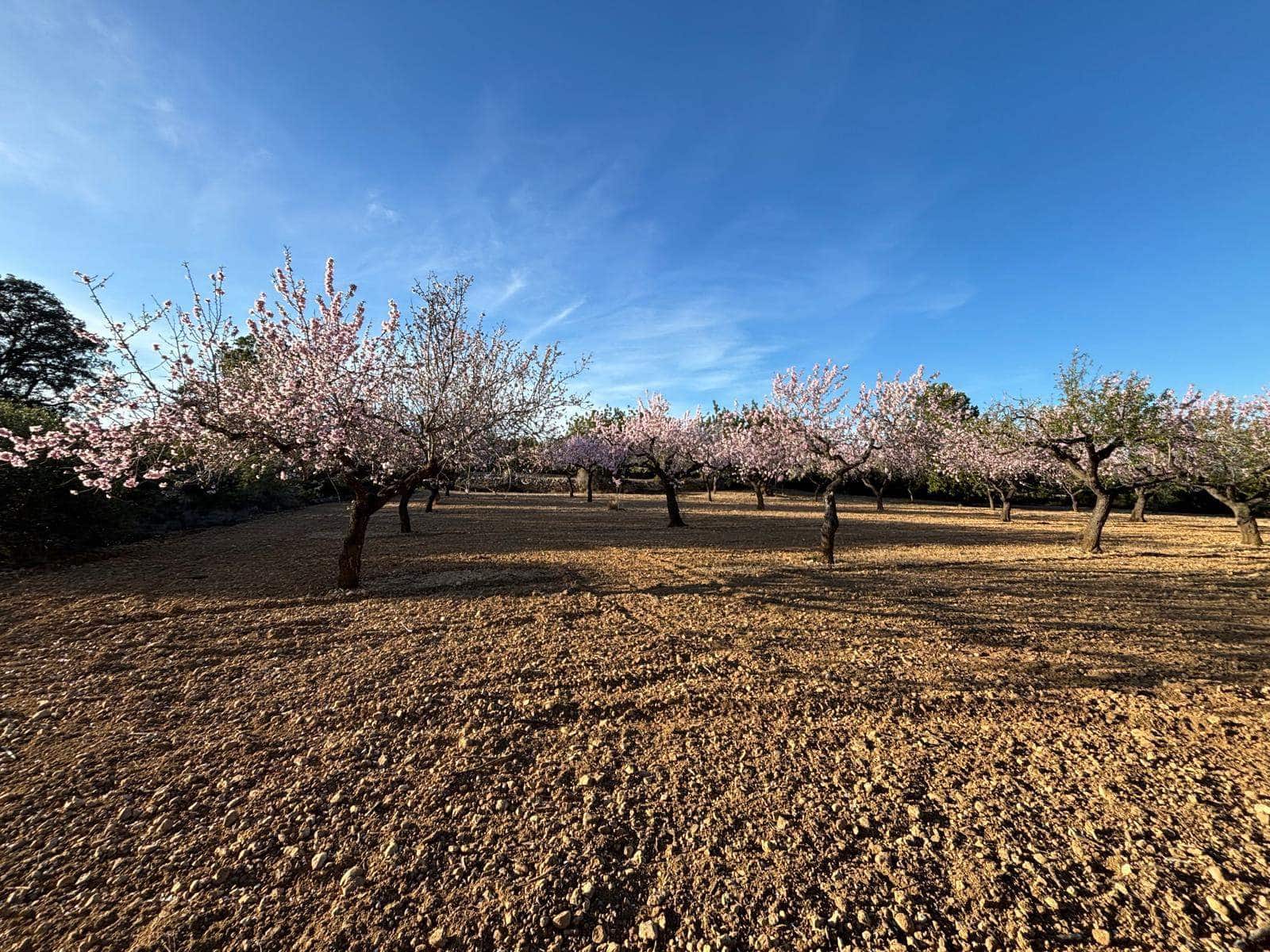 Finca/Herregård til salgs i Sant Jordi - € 95 000 (Ref: 3095136)