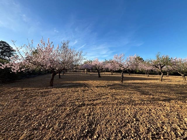 Finca/Herregård til salgs i Sant Jordi - € 95 000 (Ref: 3095136)