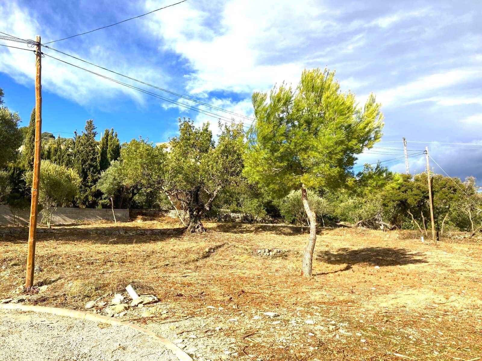 Bouwgrond te koop in Vinaros - € 95.000 (Ref: 3609695)