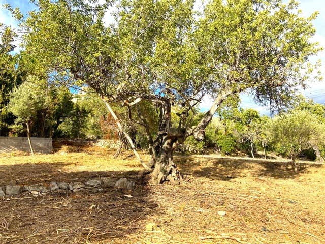 Bouwgrond te koop in Vinaròs - € 95.000 (Ref: 3609695)