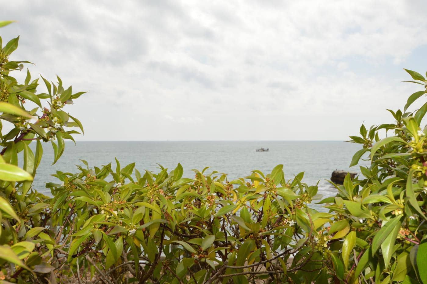 4 soverom Villa til salgs i Vinaros med garasje - € 450 000 (Ref: 4786691)