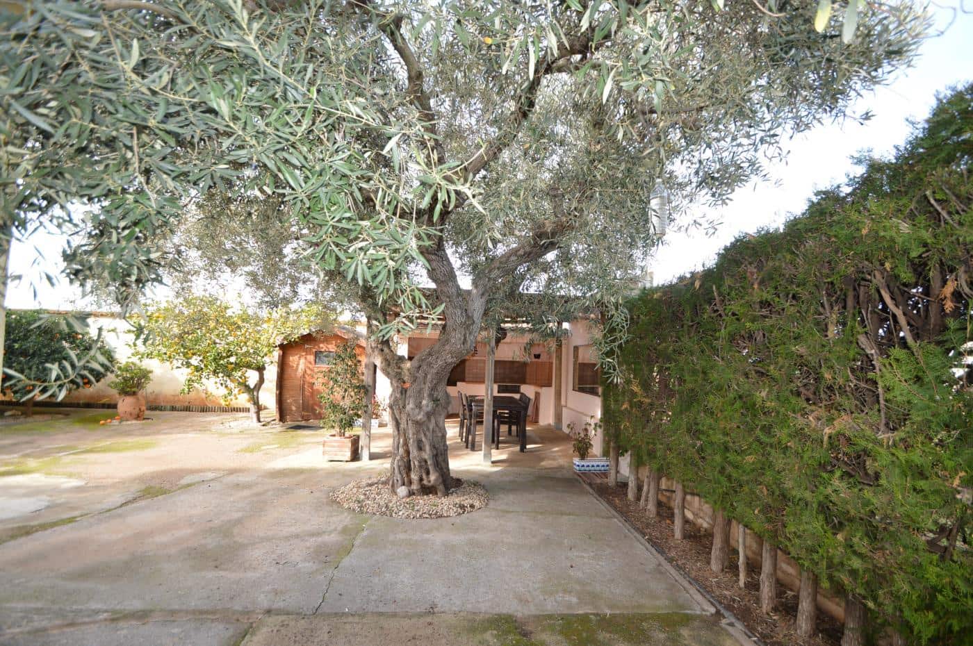 Chalet de 3 habitaciones en Benicarló en venta con piscina garaje - 525.000 € (Ref: 5073125)