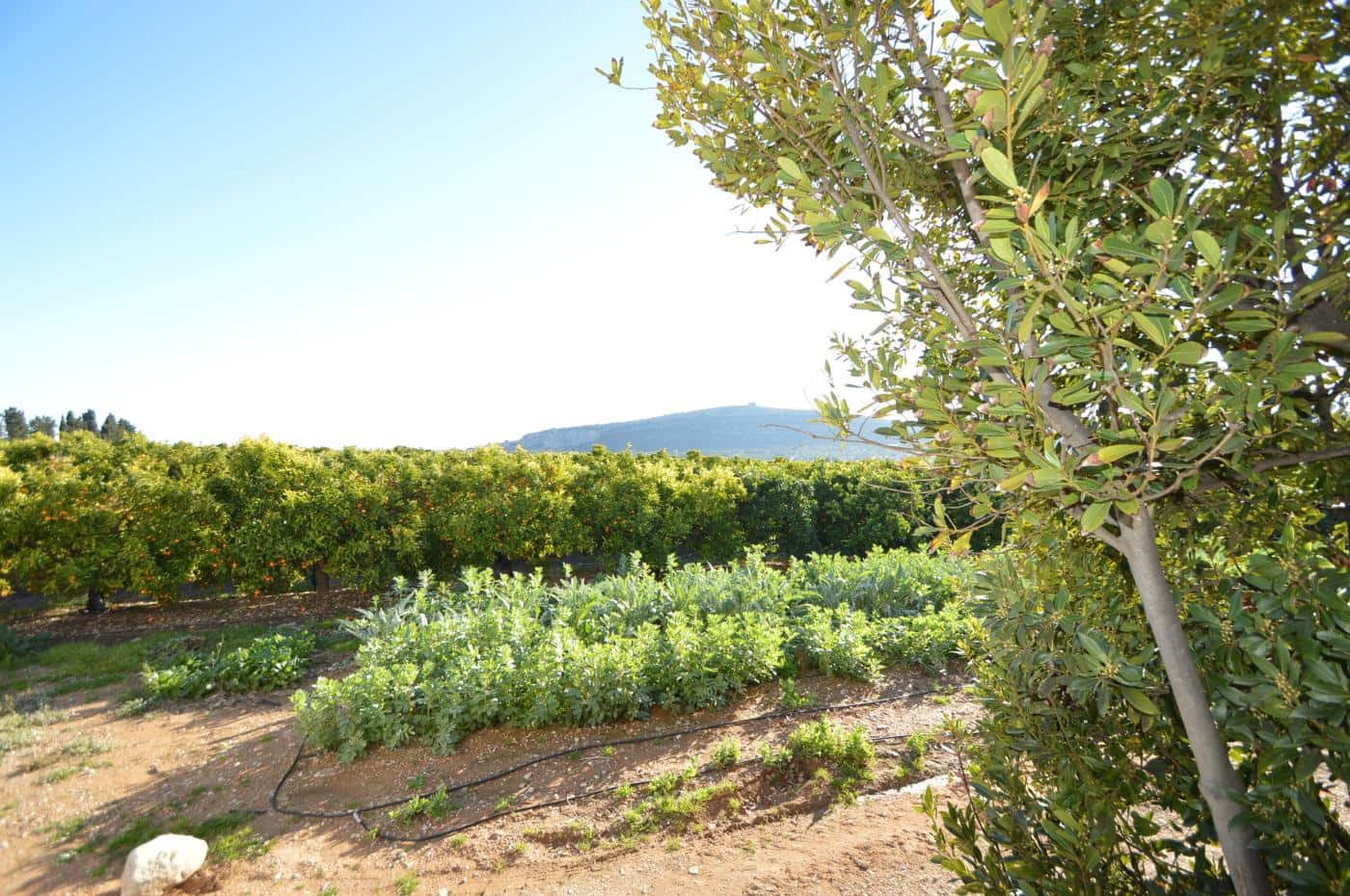 6 soverom Finca/Herregård til salgs i Vinaros med svømmebasseng garasje - € 1 690 000 (Ref: 5115888)