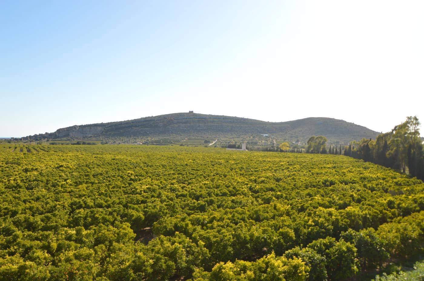 6 soverom Finca/Herregård til salgs i Vinaros med svømmebasseng garasje - € 1 690 000 (Ref: 5115888)